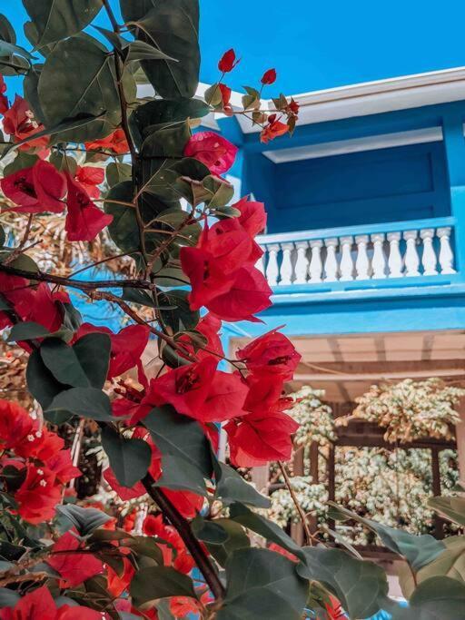 Vacation Home Blue Lotus Кей-Колкер Екстер'єр фото